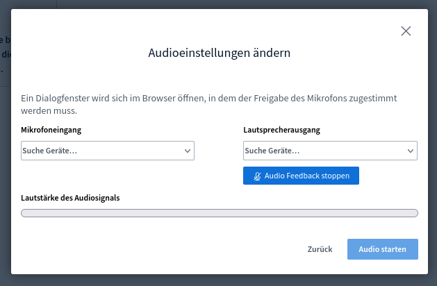 Bildschirmfoto Audioeinstellungen